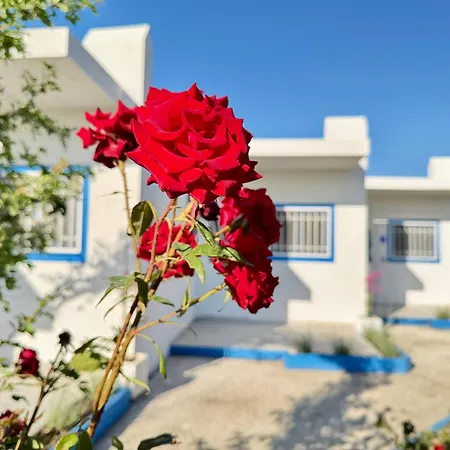 Modern In Tigaki, Near The Sea - No 3