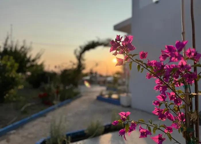 El Greco In Tigaki, Near The Sea - No 3 *