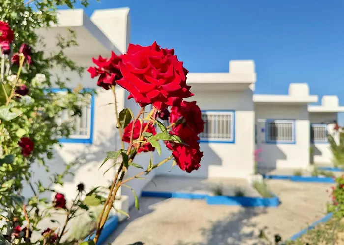 El Greco In Tigaki, Near The Sea - No 3